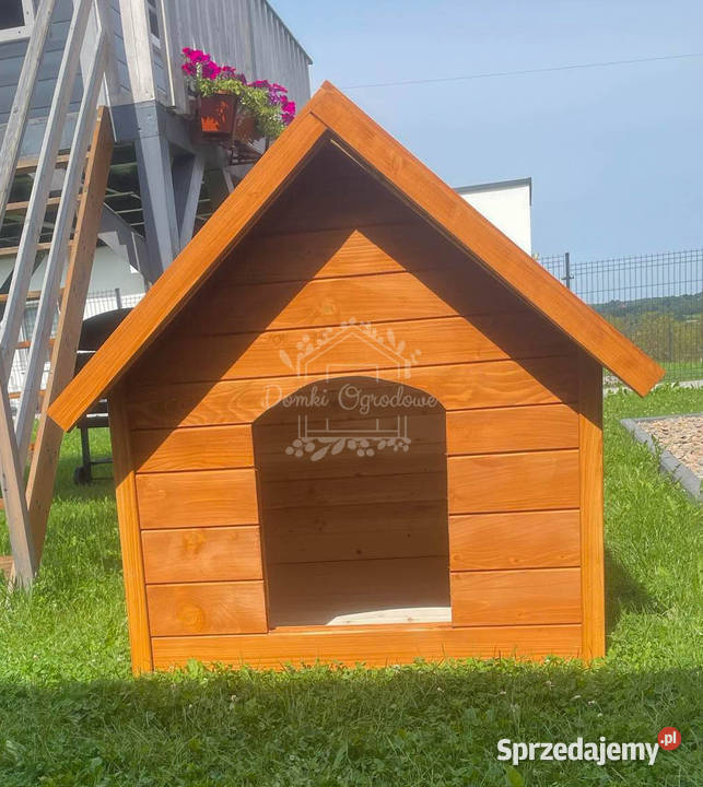 Buda psa Rozmiar XL Pinia Dach dwuspadowy ID835 Olsztyn