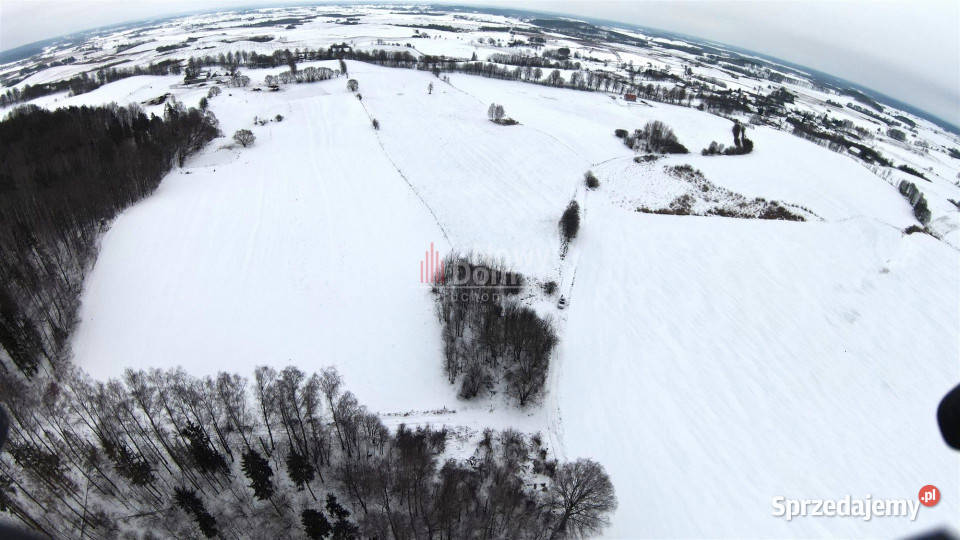 Grunt Pańska Wola 127723m2 Grunty i działki sprzedam