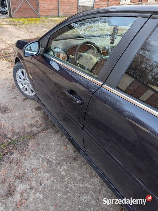 Opel Signum 19 cdti 150 Rok produkcji 2005 Słupsk