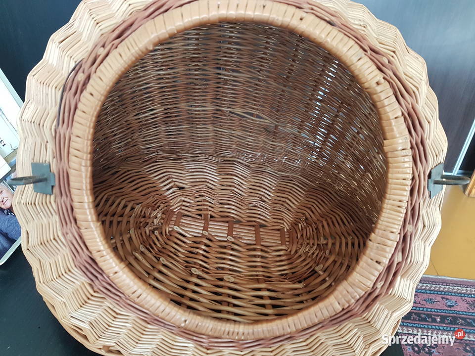 Transporter kota śląskie Tarnowskie Góry