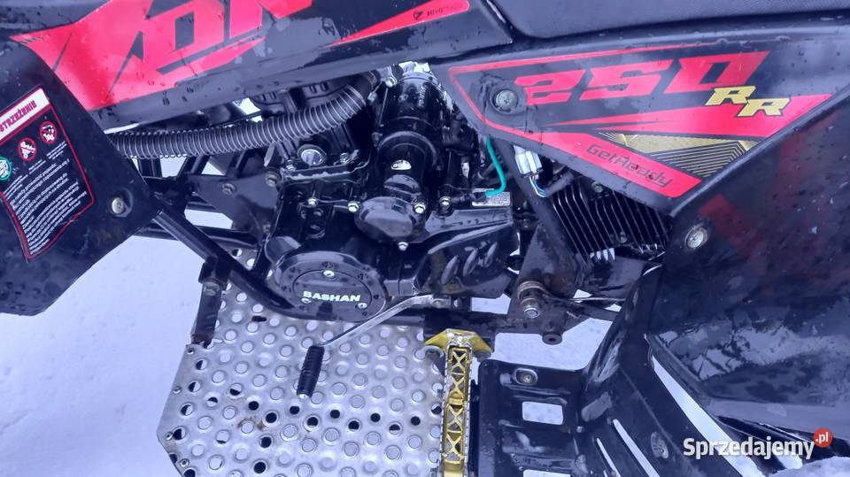 Quad Bashan BS 250 AS Xone Alfarad Cobra 15KM Siemiatycze