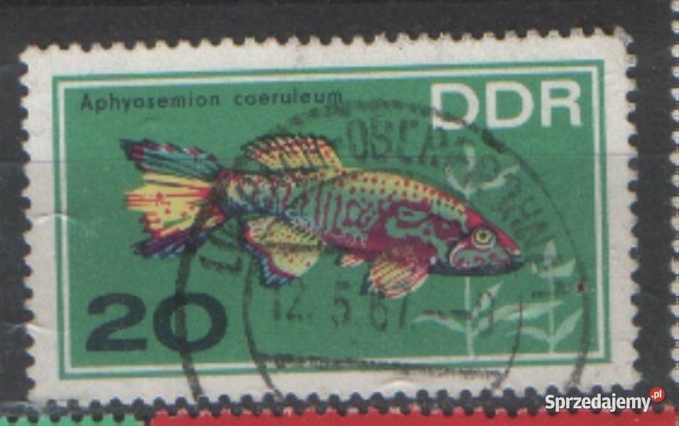 Zn NRD Mi 1161 3 85 7 1220 4 7 34 kas 1966 Gliwice sprzedam