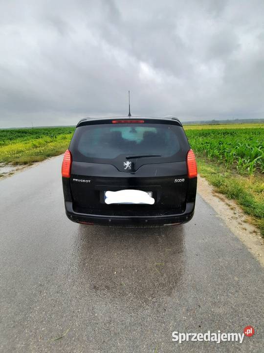 Peugeot 5008 świętokrzyskie Moskorzew