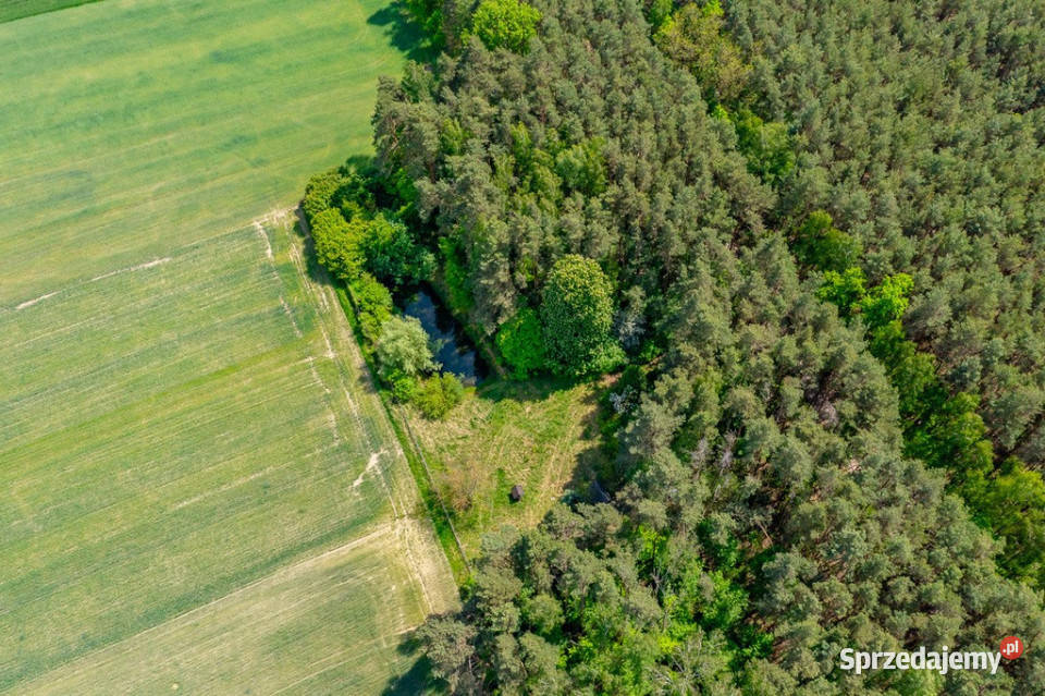 Budowlana 2300 m ze stawem i zielenią