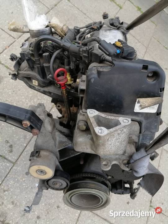 fiat Panda II Punto II 12 8v silnik kompletny Jastrzębie-Zdrój