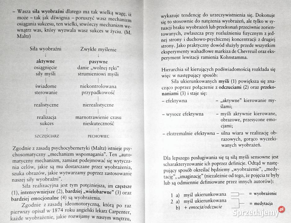 Sztuka pozytywnego myślenia Klaus W Schneider Chełm sprzedam