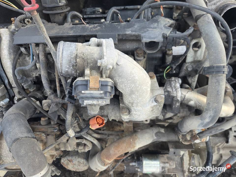 Kompletny Silnik 23 Euro 5 Fiat Ducato Iveco Ostrzeszów sprzedam