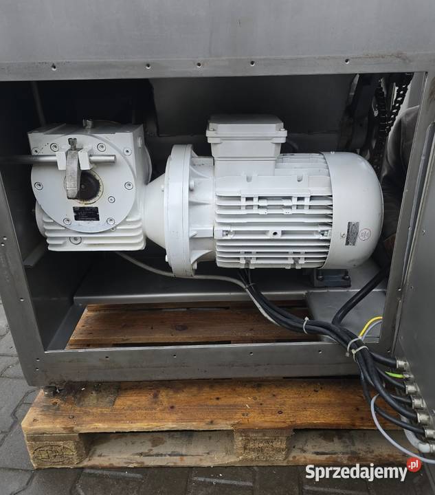 Wilk masarski Dobieszowice