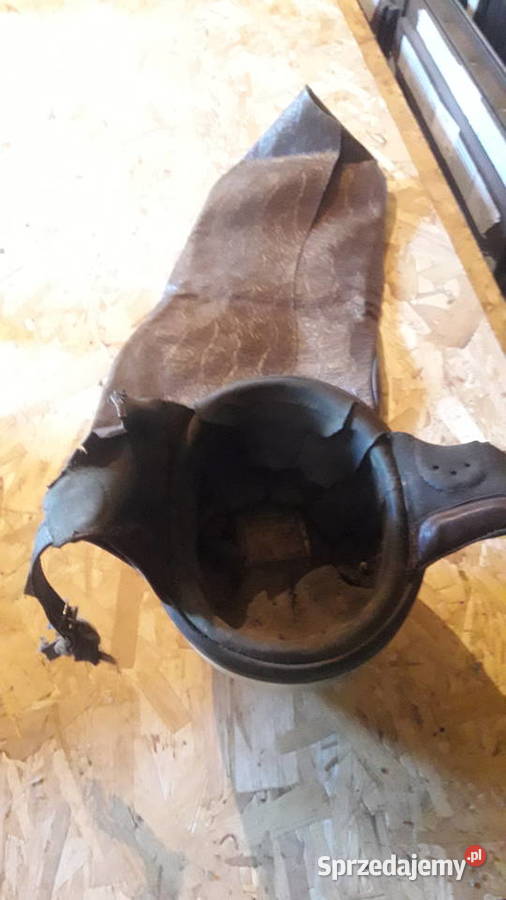 Kask orzech warmińsko-mazurskie Samin