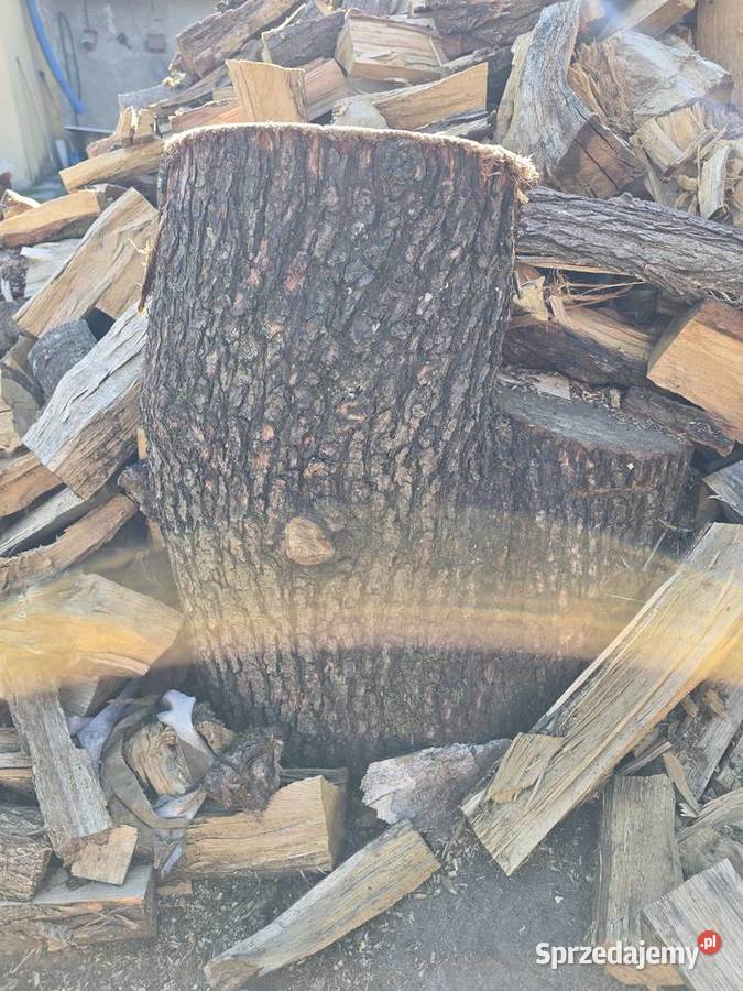 Pnie do rąbania drzewa dąbakacja mazowieckie Czarna Kolonia