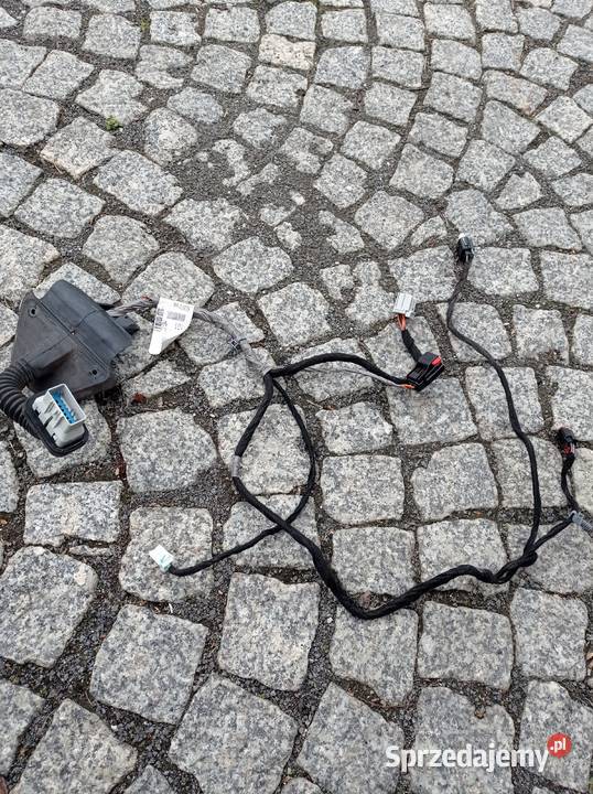 Wiązka drzwi lewy tył Dodge Journey Lubin