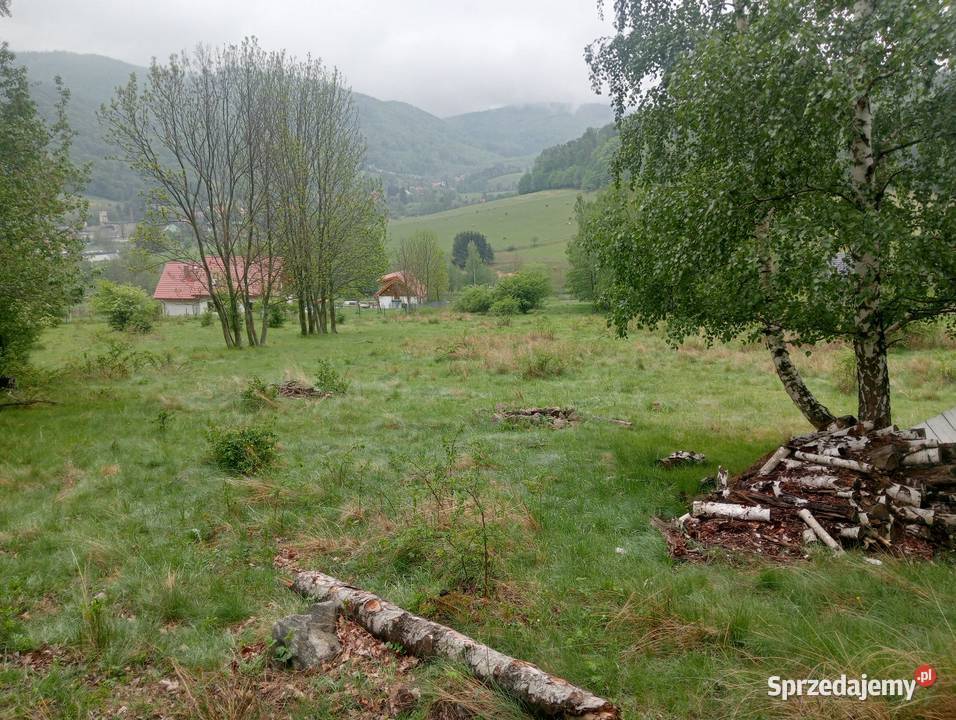 Działka w górach sowich 25arów 25000m2 dolnośląskie