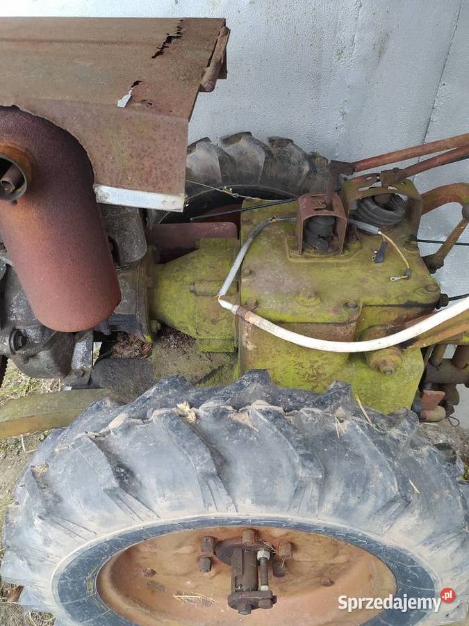 Sprzedam ciagniczek dzika 21 dzika 2 Przeworsk