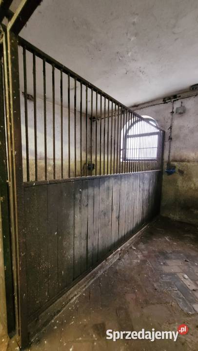 Boksy koni Małe Rudy