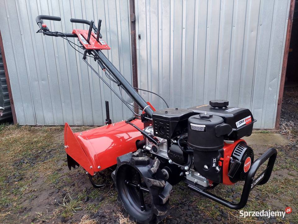 Glebogryzarka spalinowa z napędem wynajem Zgorzelec