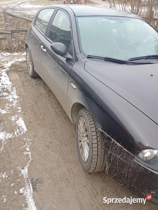 Alfa Romeo dolnośląskie Kwiatów