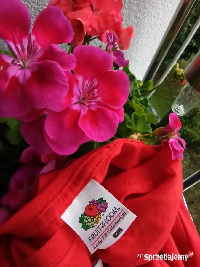 Czerwony t shirt z napisem Polska i orłem Radzyń Podlaski