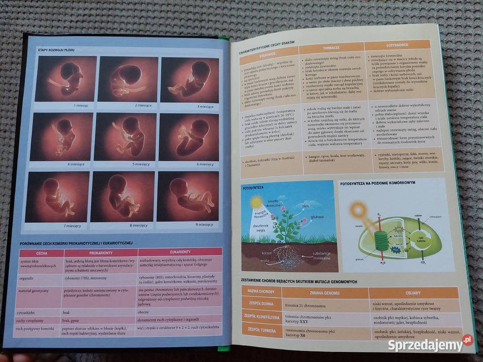 MATURA biologia vademecum małopolskie