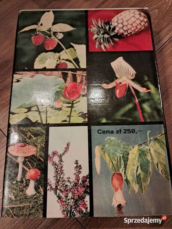 ksiżąka z 1979r wielki atlas roślin stan Sandomierz