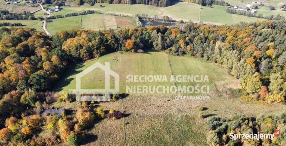 sprzedaży działki Jodłowno 1224m2 Grunty i działki