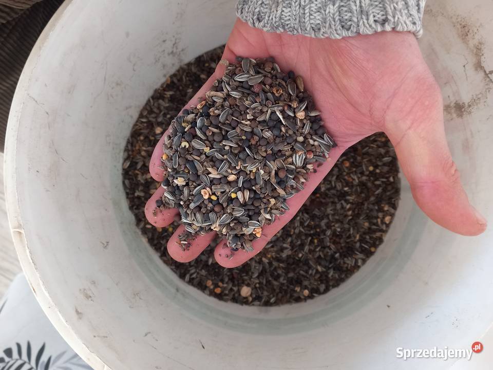 Słonecznik mieszanka Karmy i pasze Łobez sprzedam