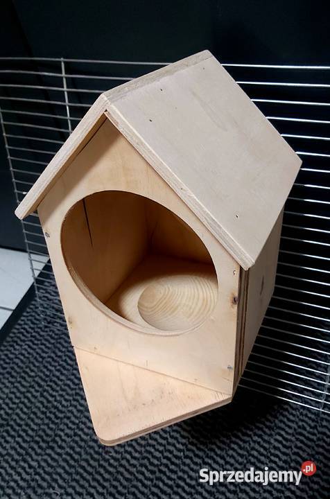 gpłągka diMENTOWEGO I INNE Rybnik