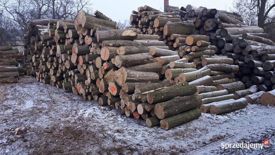 drewno kominkowe wielkopolskie Buk