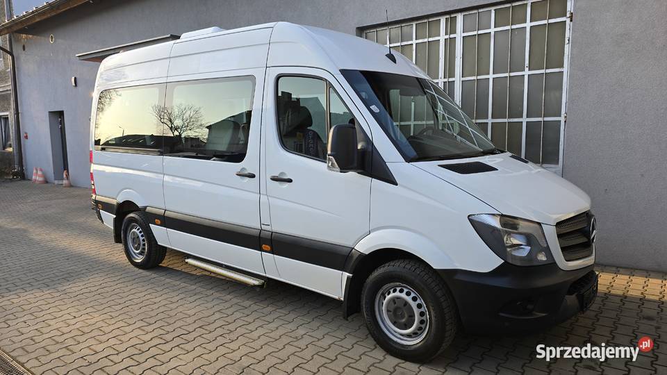 MercedesBenz Sprinter 906213 BlueEFFICIENCY Nowy Świętów