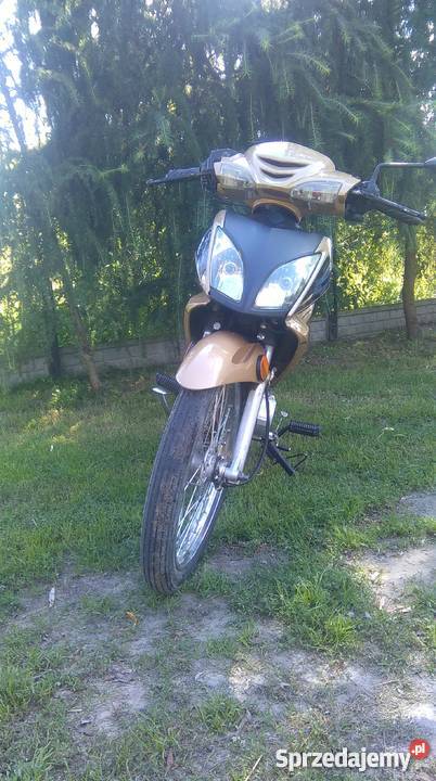 Zumico Ronin 2 złoty Czemierniki