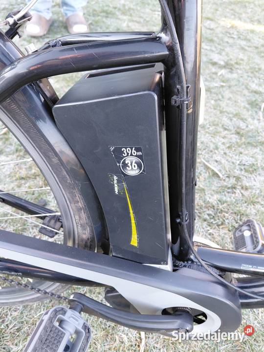 Rower elektryczny kalkhoff Buk