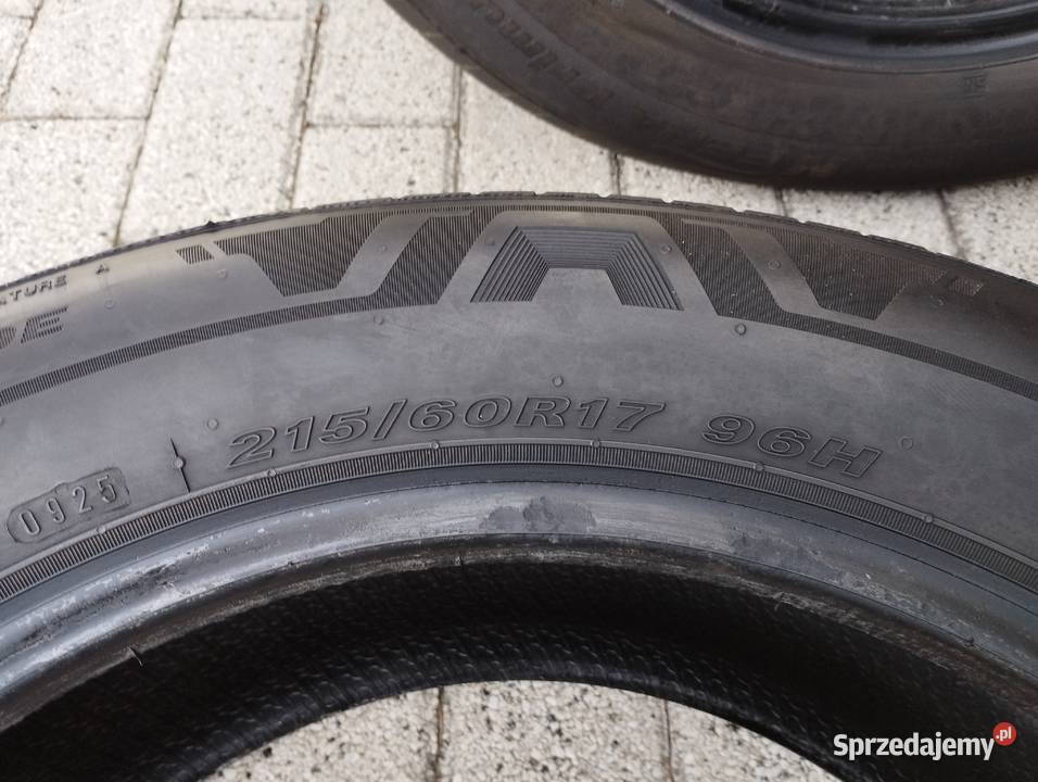 Opony Nexen Nfera Primus R17 60215 Świecie