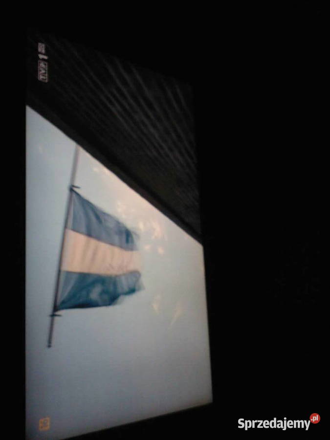 LG42LH3000 LCD Full HD DVBT 3xHDMI 2xEuro VGA Gw LCD śląskie Knurów