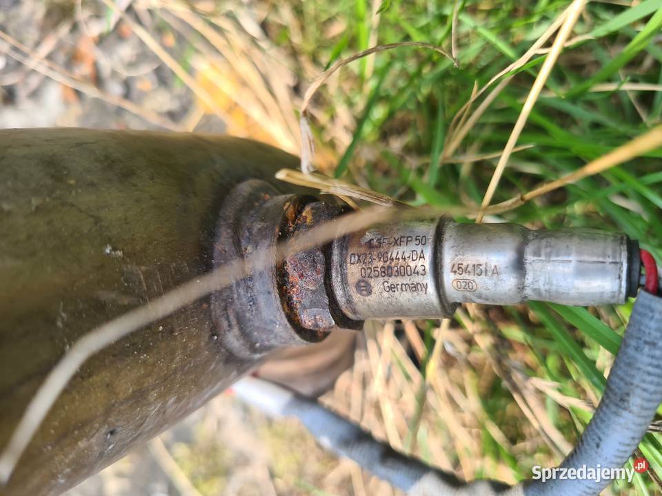 Sonda Lambda Jaguar X351 dx239g444 da Kielce