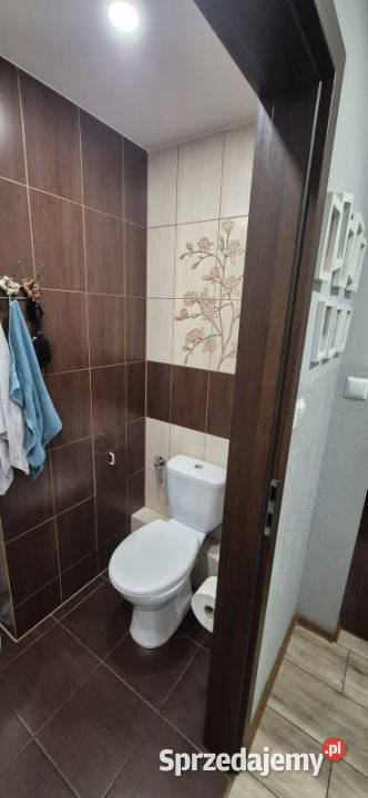 Sprzedam mieszkanie W cichej okolicy kujawsko-pomorskie Brodnica