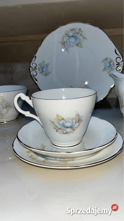 Filiżanka Montfort Staffordshire Biltons England Gdańsk