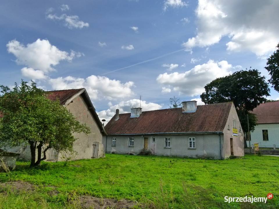 Mazury Dom 059000 ha 325000 Żabin