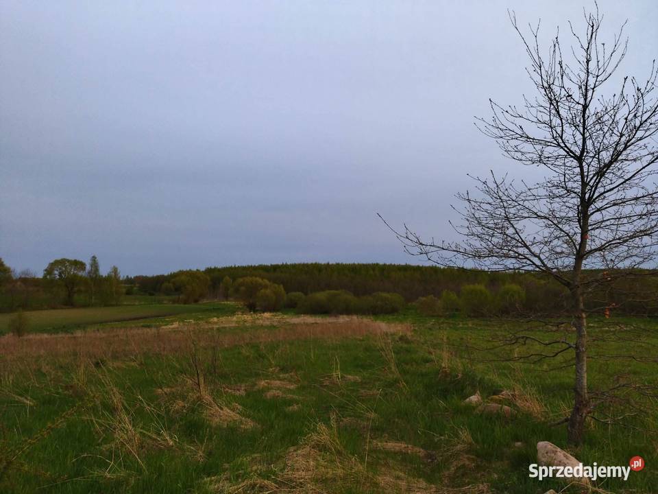 Działka budowlana z dostępem do linii brzegowej warmińsko-mazurskie Lesiska