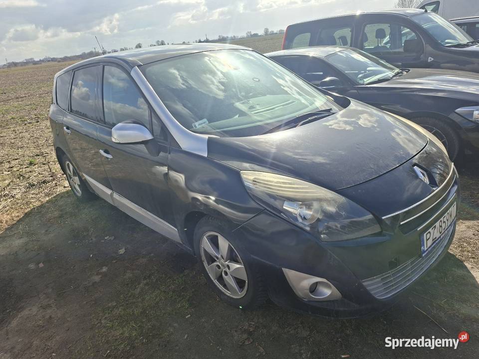 Renault Scenic 3 Grande 7osob Kostrzyn sprzedam