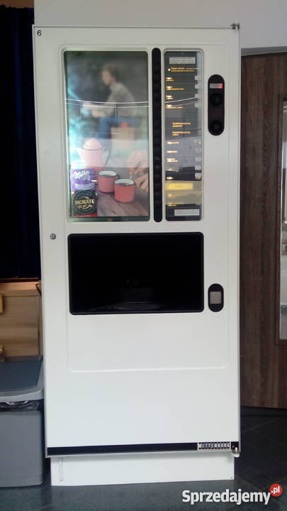 Bar Bistro w Centrum Sportu UMK sprzedam magazyn Toruń