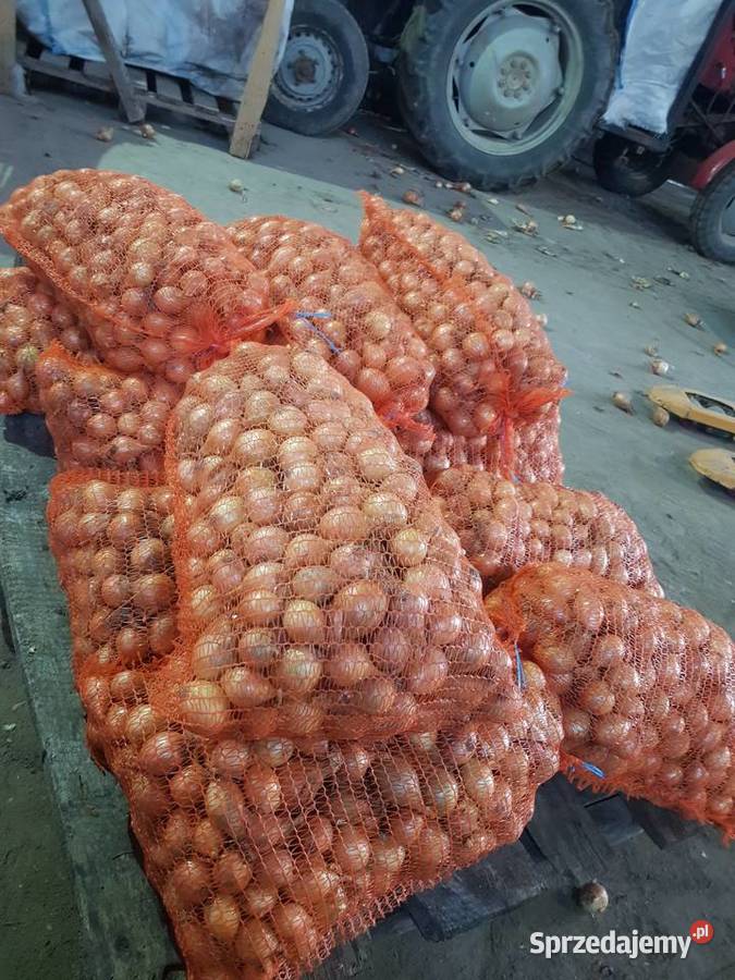 Obcinaczka do cebuli 8 wałkowa Piestrzec