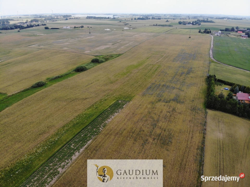 Działki przemysłowe PSSE Sztum