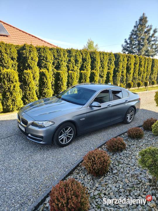 Bmw 525 garażowany Przeworsk