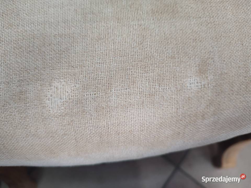 Fotele uszatki Malbork