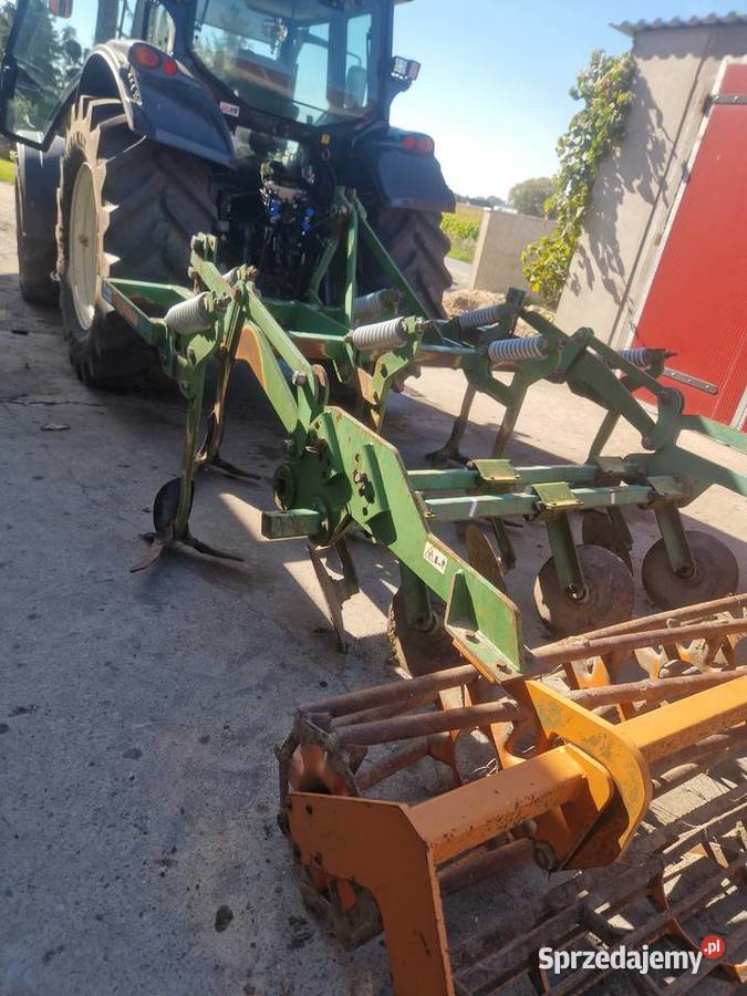 Gruber Amazone Toruń