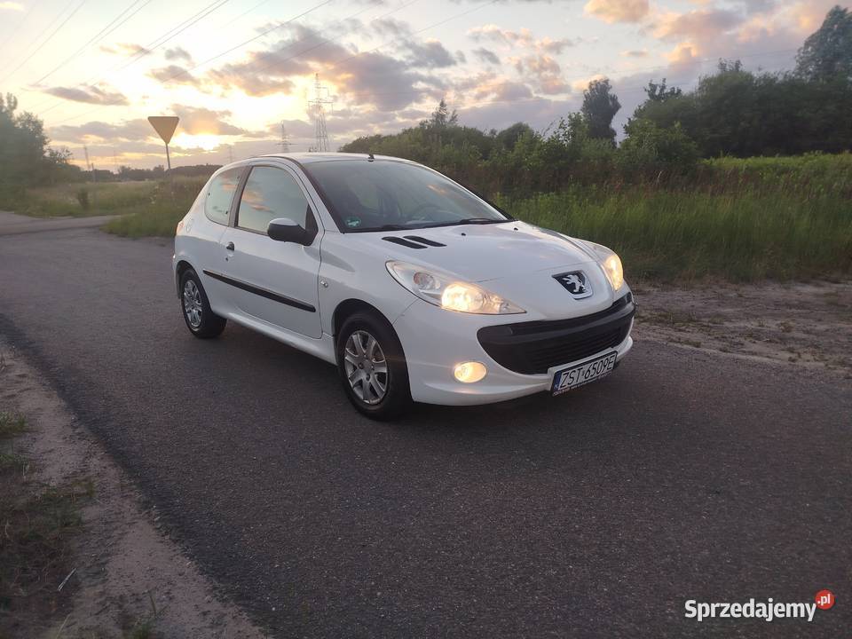 Peugeot 206 2010 14 PB 206 plus Kobylanka