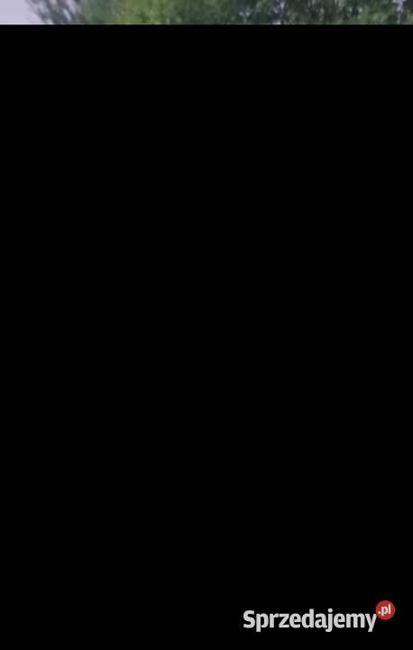 KOSTIUM XXL MISIA PANDY 26 METRA GIGANT DMUCHANY Rozmiar uniwersalny Katowice