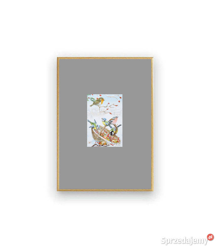 vintage plakat z ptaszkami ptaszki obrazek A4