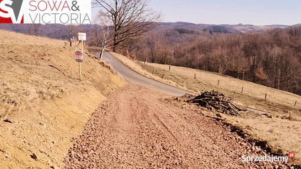 Panorama Góry Sowie Sprzedaż Zagórze Śląskie