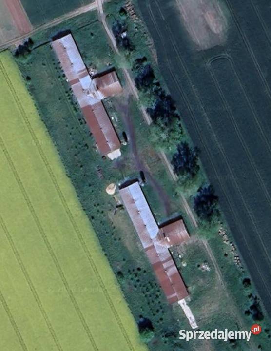 Ferma drobiu morzem Sławno sprzedam