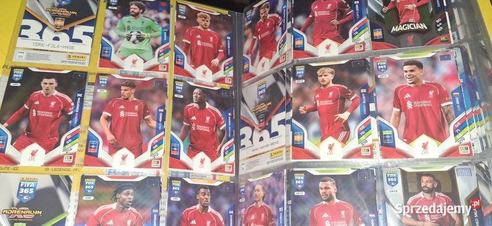 Album piłkarski panini Fifa 365 2025 Pozostałe Górowo Iławeckie